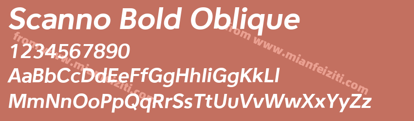 Scanno Bold Oblique预览图1