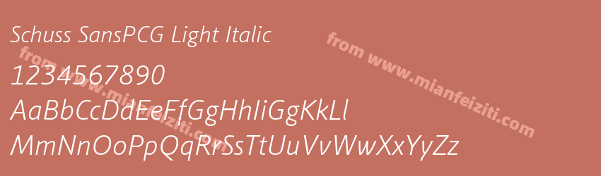 Schuss SansPCG Light Italic预览图1