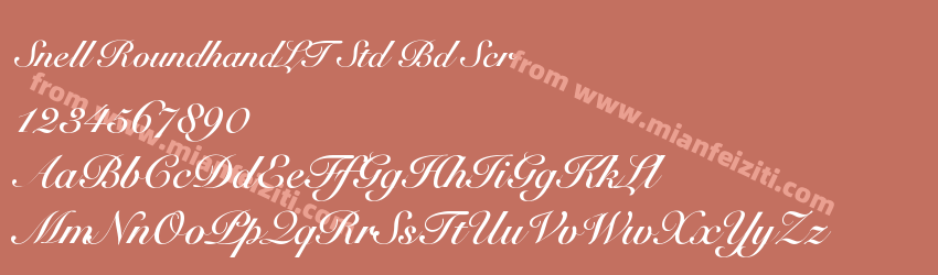 Snell RoundhandLT Std Bd Scr预览图1