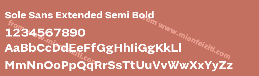 Sole Sans Extended Semi Bold预览图1