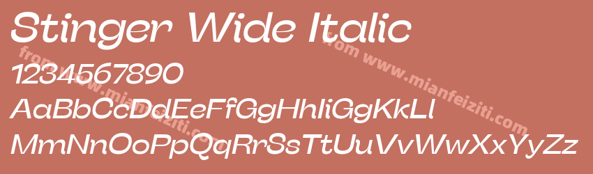 Stinger Wide Italic预览图1