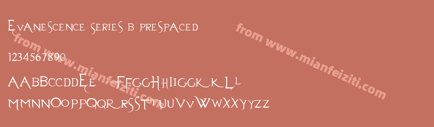 Evanescence Series B Prespaced预览图1