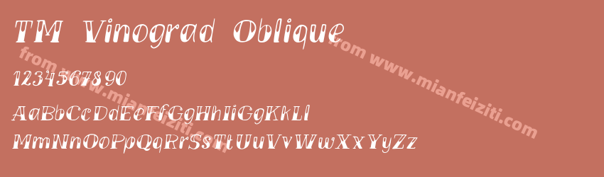 TM Vinograd Oblique预览图1