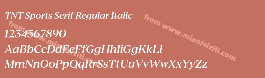 TNT Sports Serif Regular Italic预览图1