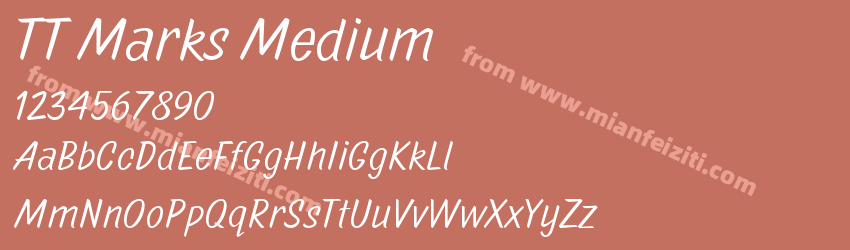 TT Marks Medium预览图1