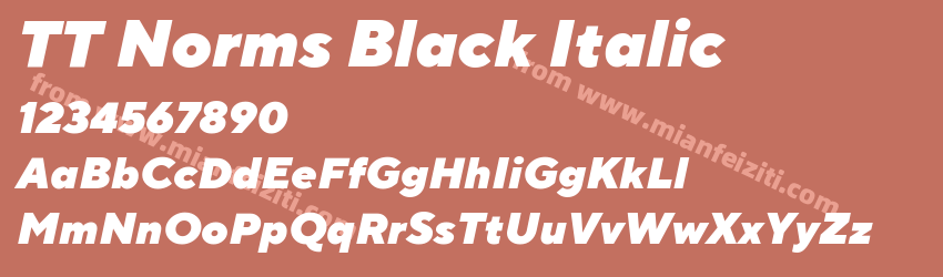TT Norms Black Italic预览图1