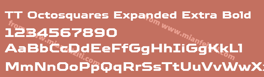 TT Octosquares Expanded Extra Bold预览图1