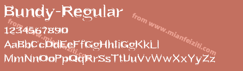 Bundy Regular预览图1