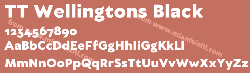 TT Wellingtons Black预览图1