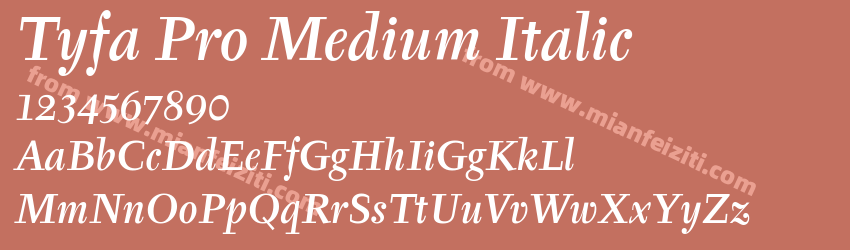 Tyfa Pro Medium Italic预览图1