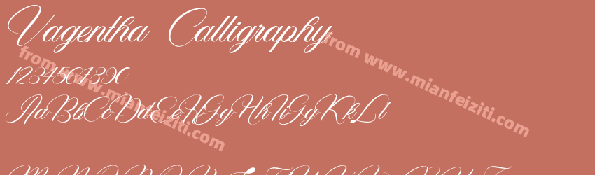Vagentha Calligraphy预览图1