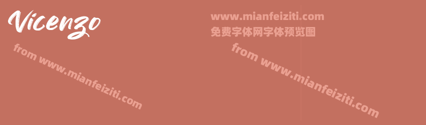 Vicenzo预览图1