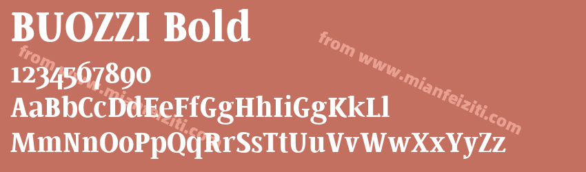 BUOZZI Bold预览图1
