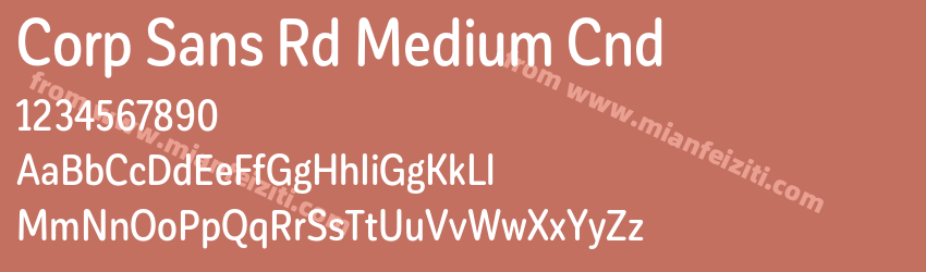 Corp Sans Rd Medium Cnd预览图1