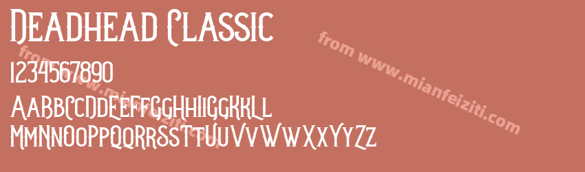 Deadhead Classic预览图1