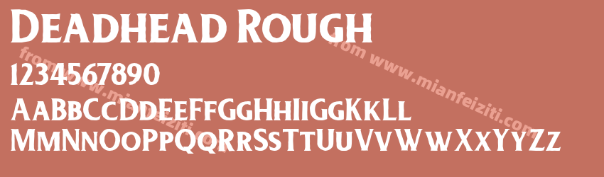 Deadhead Rough预览图1