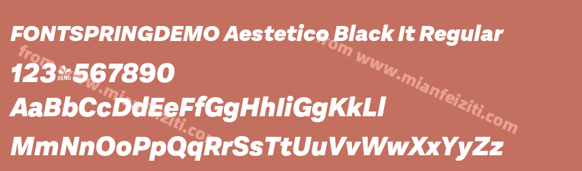 FSP DEMO Aestetico Black It Regular预览图1