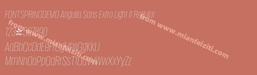 FSP DEMO Anguita Sans Extra Light It Regular预览图1