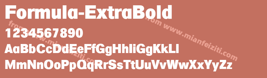 Formula Extra Bold预览图1