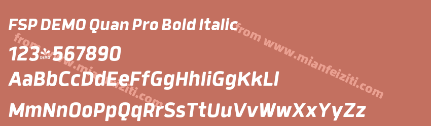 FSP DEMO Quan Pro Bold Italic预览图1
