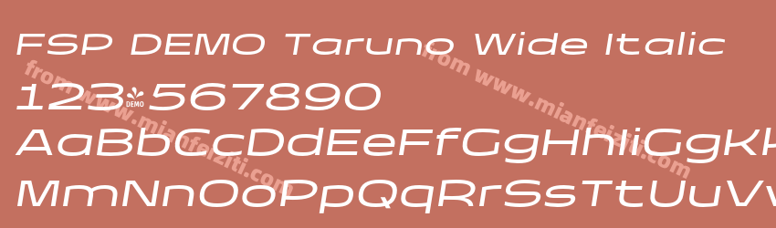 FSP DEMO Taruno Wide Italic预览图1