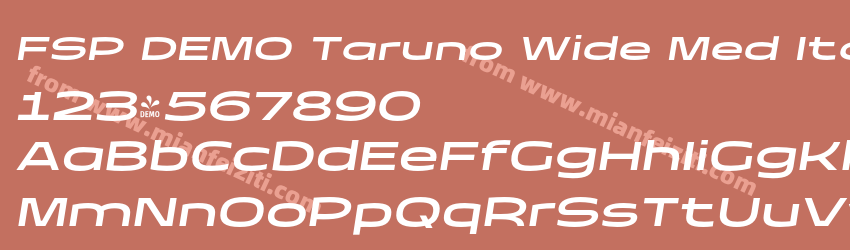 FSP DEMO Taruno Wide Med Italic预览图1
