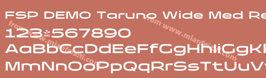 FSP DEMO Taruno Wide Med Regular预览图1