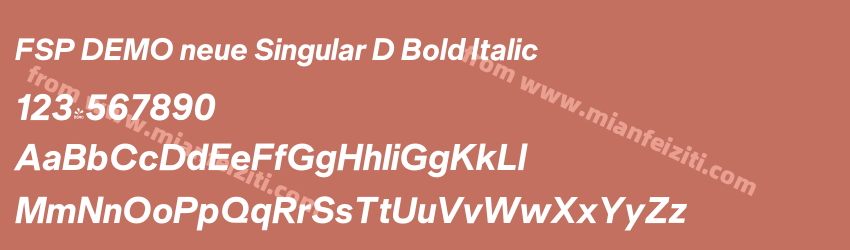 FSP DEMO neue Singular D Bold Italic预览图1