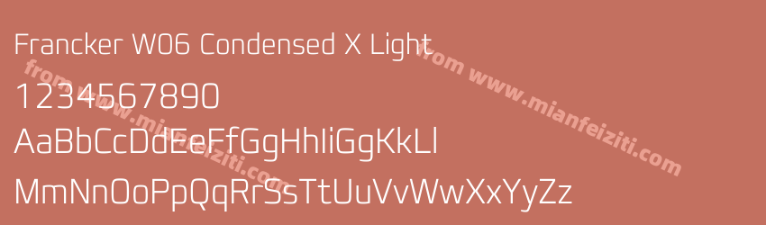 Francker W06 Condensed X Light预览图1