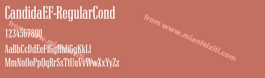 CandidaEF Regular Cond预览图1
