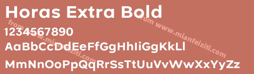 Horas Extra Bold预览图1