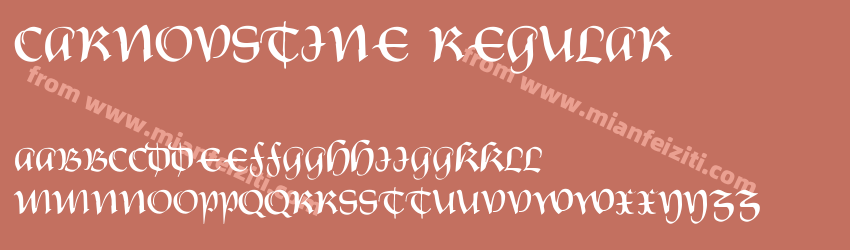 Carnovstine Regular预览图1