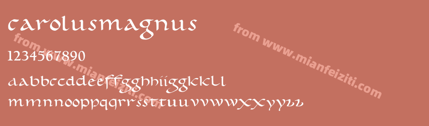 Carolus Magnus预览图1