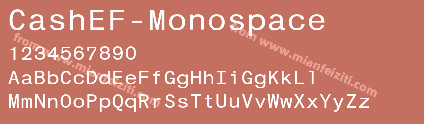 CashEF Monospace预览图1