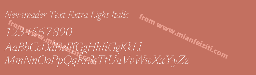 Newsreader Text Extra Light Italic预览图1