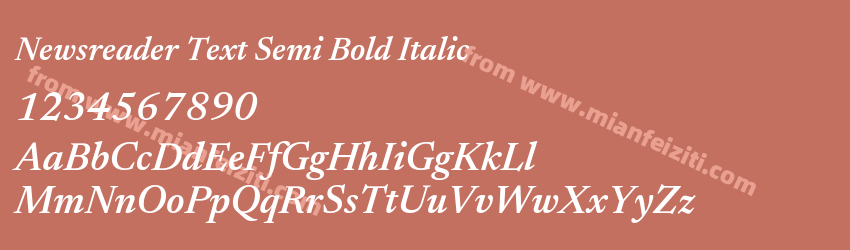 Newsreader Text Semibold Italic预览图1