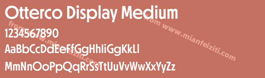 Otterco Display Medium预览图1