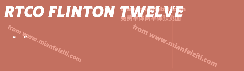 RTCO Flinton Twelve预览图1
