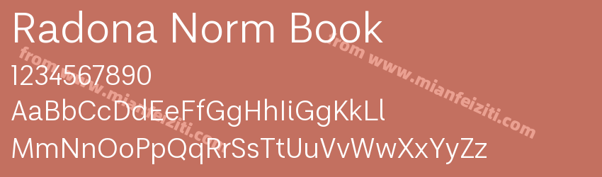 Radona Norm Book预览图1