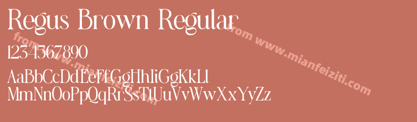 Regus Brown Regular预览图1