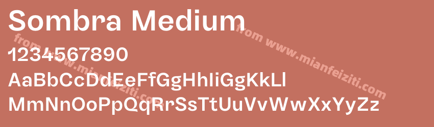 Sombra Medium预览图1