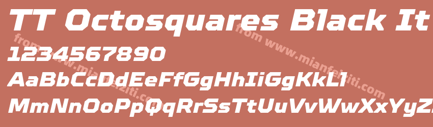 TT Octosquares Black It预览图1