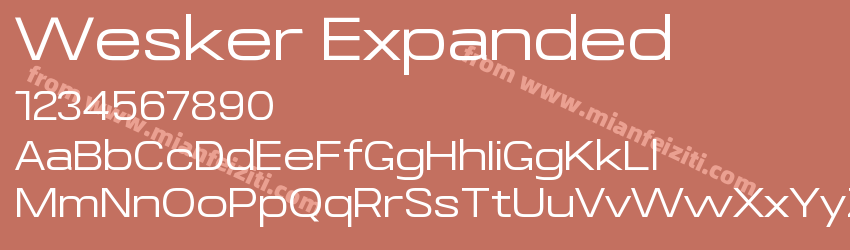 Wesker Expanded预览图1