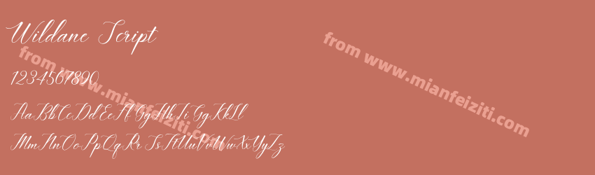Wildane Script预览图1