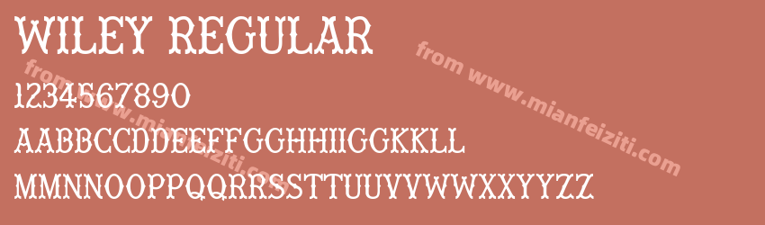 Wiley Regular预览图1