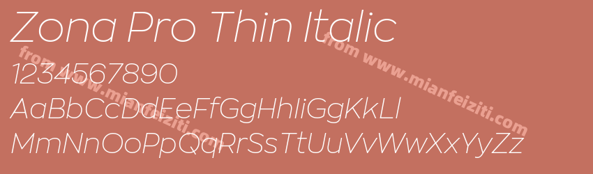Zona Pro Thin Italic预览图1
