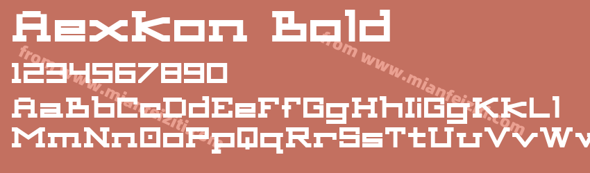 Aexkon Bold预览图1