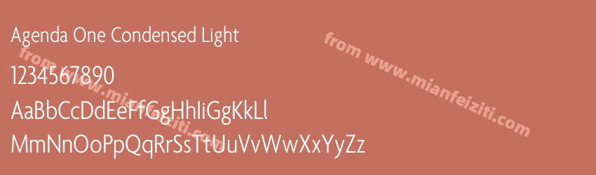 Agenda One Condensed Light预览图1