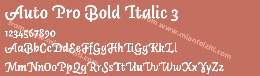 Auto Pro Bold Italic 3预览图1