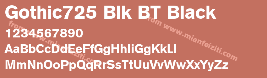 Gothic725 Blk BT Black预览图1